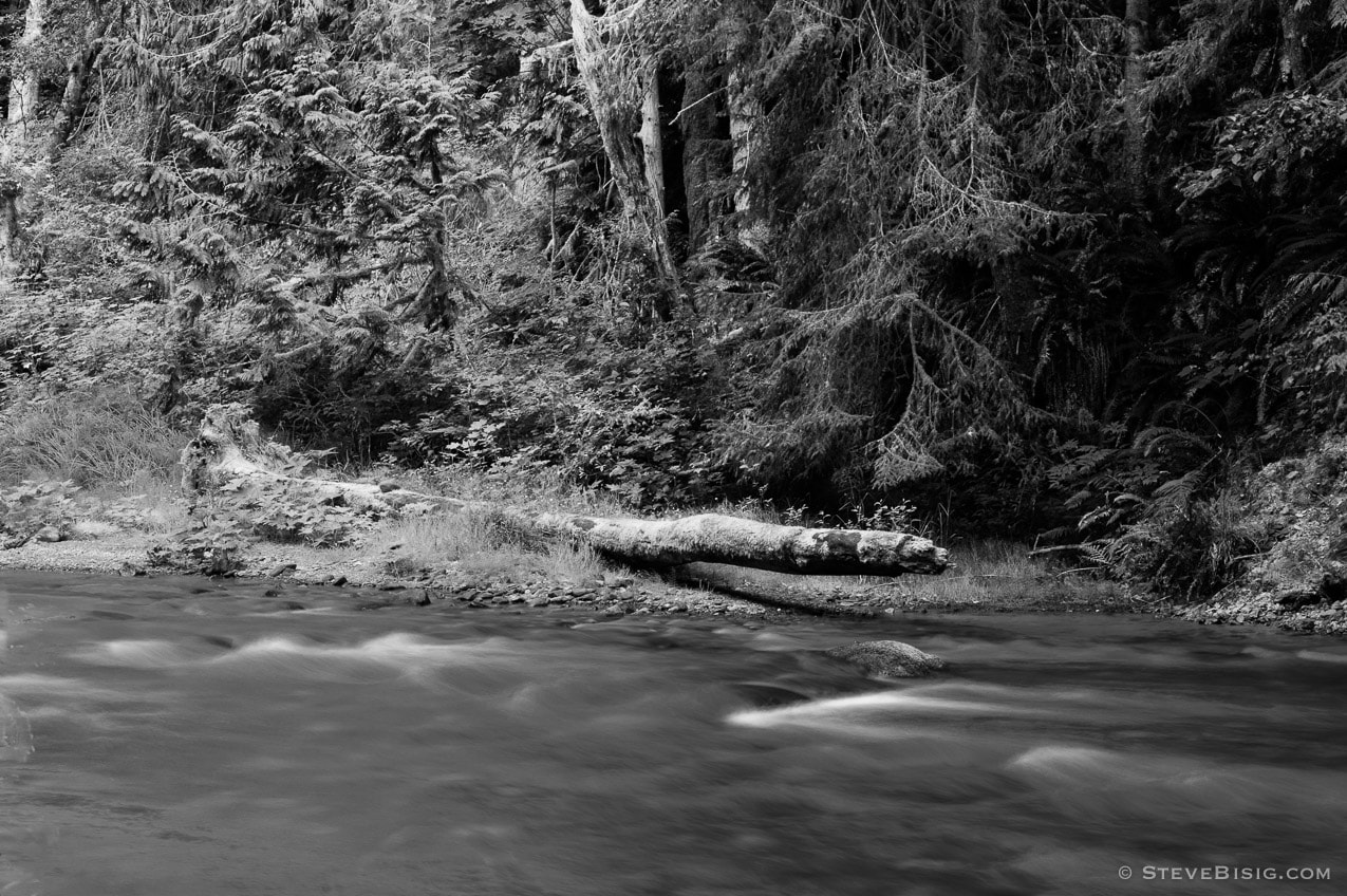 A black and white, long exposure photograph of the Lyre River on the Olympic Peninsula in Washington State.