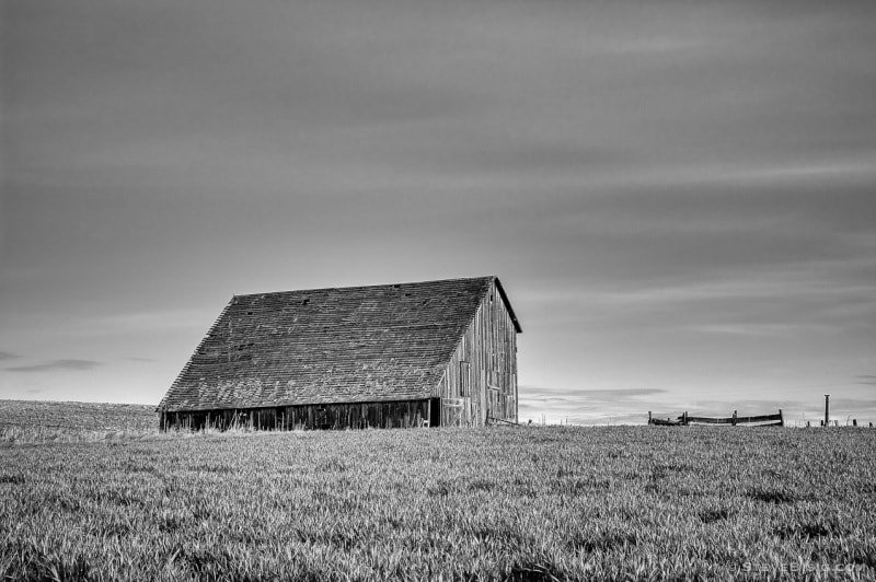 A black and white photograph of old barn in rural Douglas County, Washington.