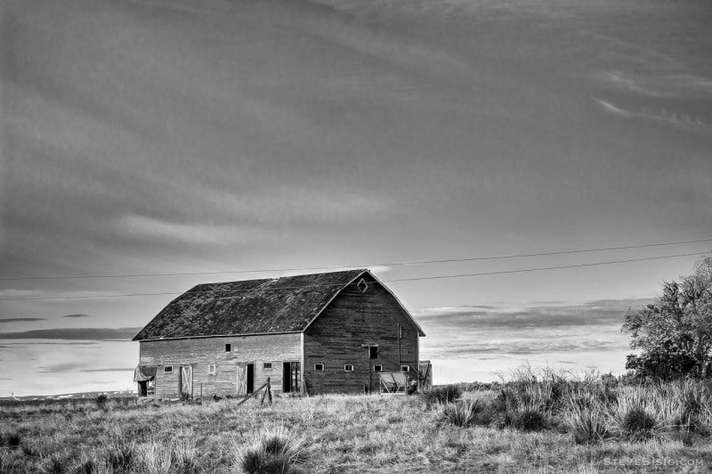 A black and white photograph of an old barn in rural Douglas County, Washington.