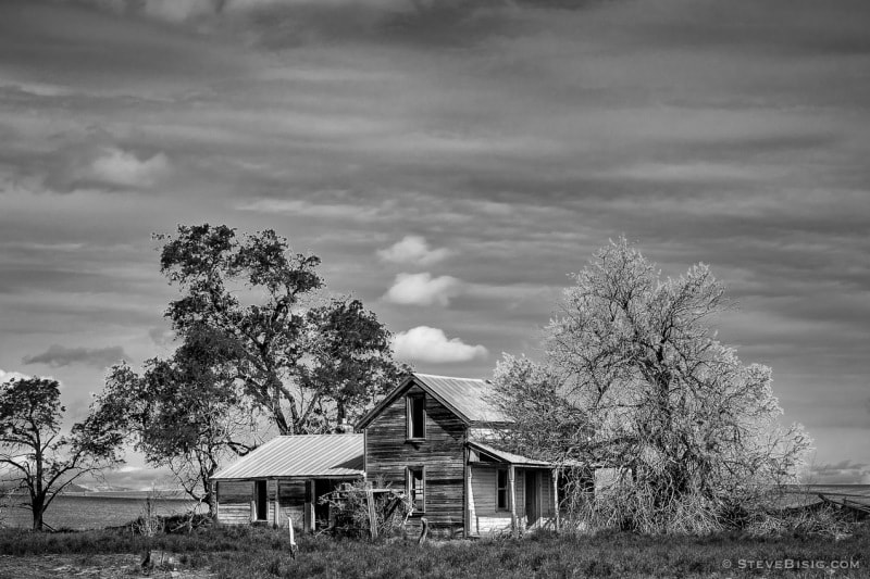 A black and white photograph of an abandoned farm in rural Douglas County, Washington