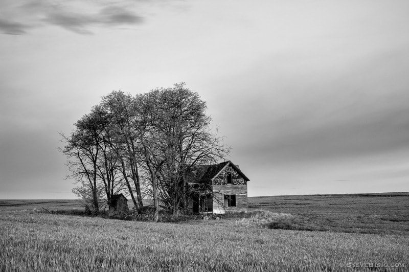 A black and white photograph of an old house in rural Douglas County, Washington.