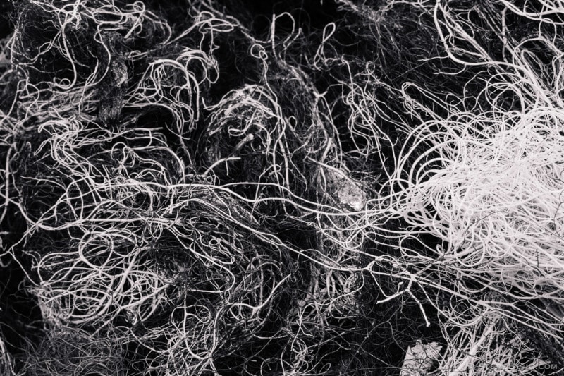 A black and white macro photograph of a large clump of lichen found in the Mt Rainier National Park near Chinook Pass, Washington.