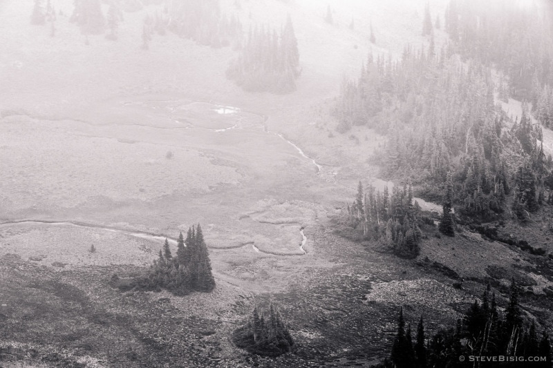 A black and white photograph looking down into the Huckleberry Basin as seen from the Sourdough Ridge Trail on a foggy, late Summer day during a visit to the Sunrise area of Mount Rainier National Park, Washington.