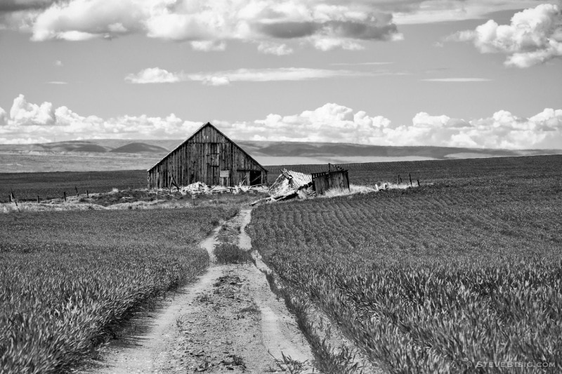 A black and white photograph of an old barn in rural Douglas County, Washington.