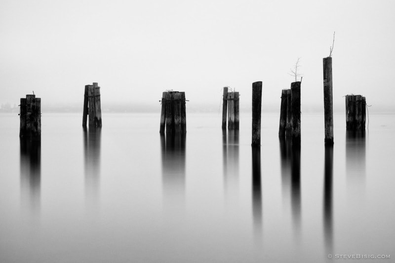 A black and white photograph of old dock pilings from the Dickman Mill on the Puget Sound, Ruston Way, Tacoma, Washington.