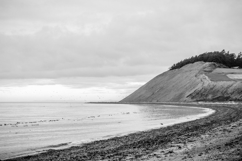 A black and white photograph of the beach along the Puget Sound at Ebey's Landing on Whidbey island near Coupeville, Washington.