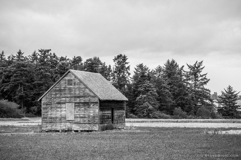 A black and white photograph of an old farm shed along Hill Road on Whidbey Island near Coupeville, Washington.