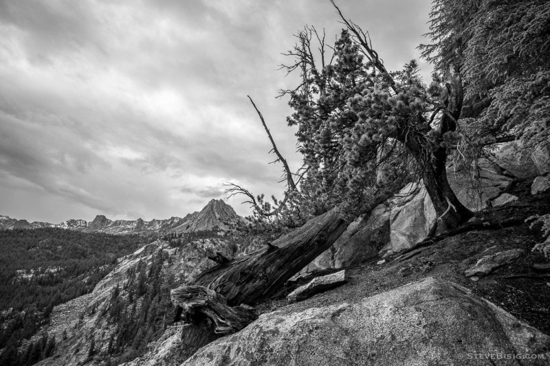 A black and white photograph of the Sierra Nevada near Mammoth Lakes, California as seen from the Crystal Lake trail.