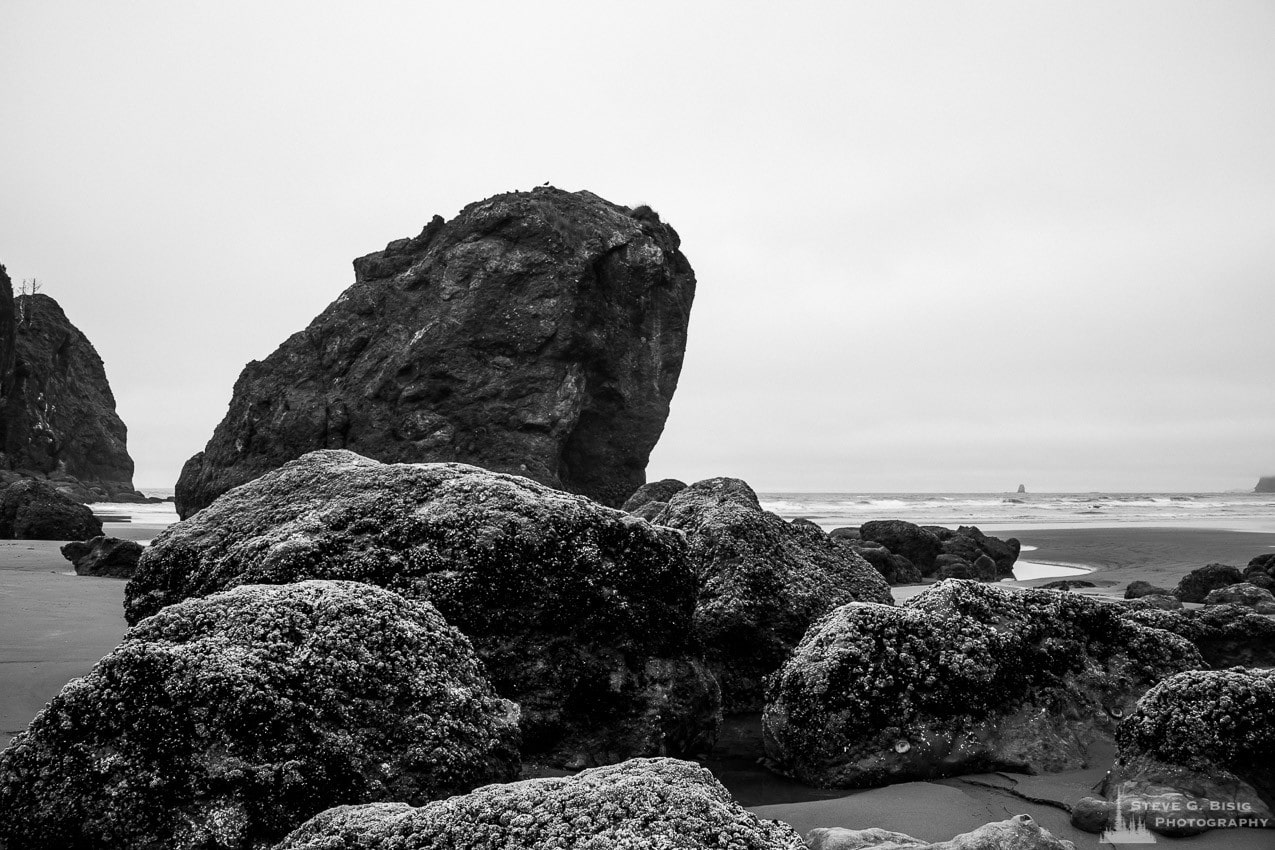 A black and white landscape photograph of coastal rocks at Ruby Beach in the Olympic National Park in Washington State.