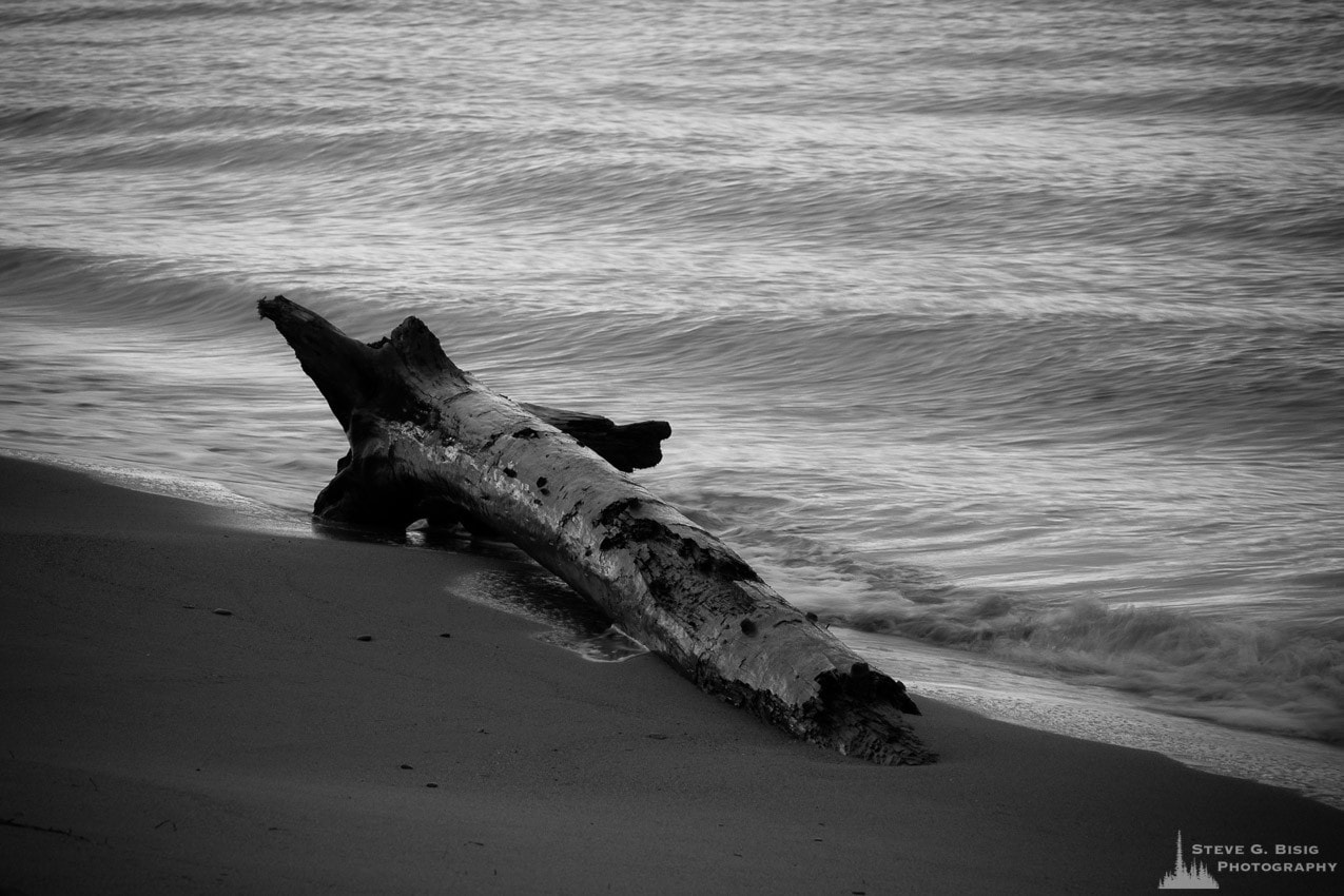 A black and white photograph of a driftwood log washed up on the beach at Deception Pass State Park on Whidbey Island, Washington.