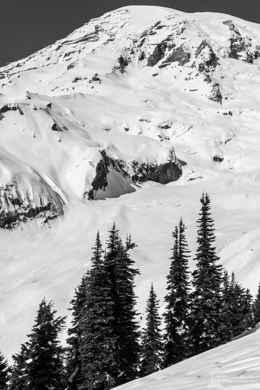 A black and white landscape photograph of a Winter alpine scene near Paradise at Mount Rainier National Park, Washington