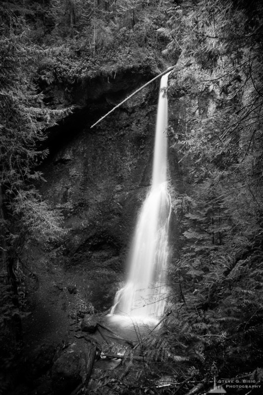 A black and white long exposure photograph of Marymere Falls near Lake Crescent in the Olympic National Park, Washington.