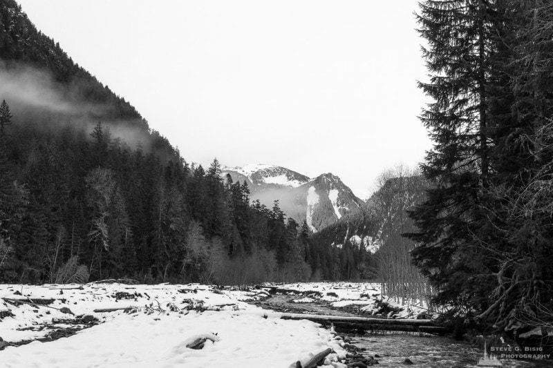 A black and white photograph of the Winter scenes of the Carbon River Valley at Mount Rainier National Park, Washington.