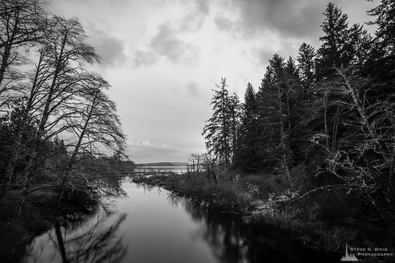 A black and white landscape photograph of the headwaters of the Ozette River as it leaves Ozette Lake in the Olympic National Park, Washington.