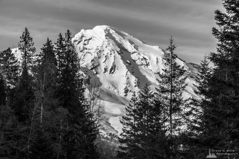 A black and white landscape photograph of Mount Rainier as viewed from Tahoma Creek at Mount Rainier National Park, Washington.