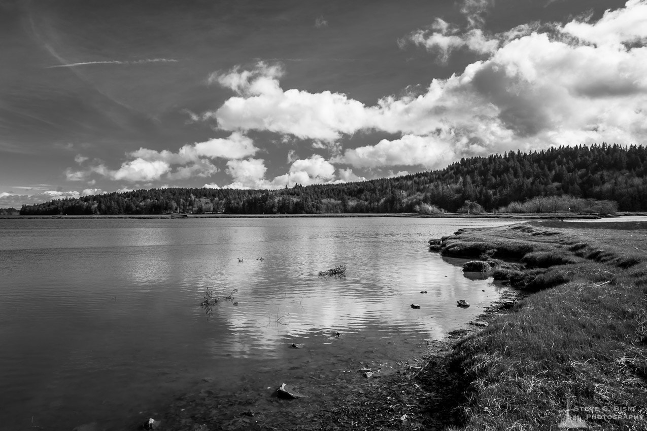 A black and white photograph of Oyster Bay on a sunny Winter day near the Kennedy Creek Natural Area Preserve in rural Thurston County, Washington.