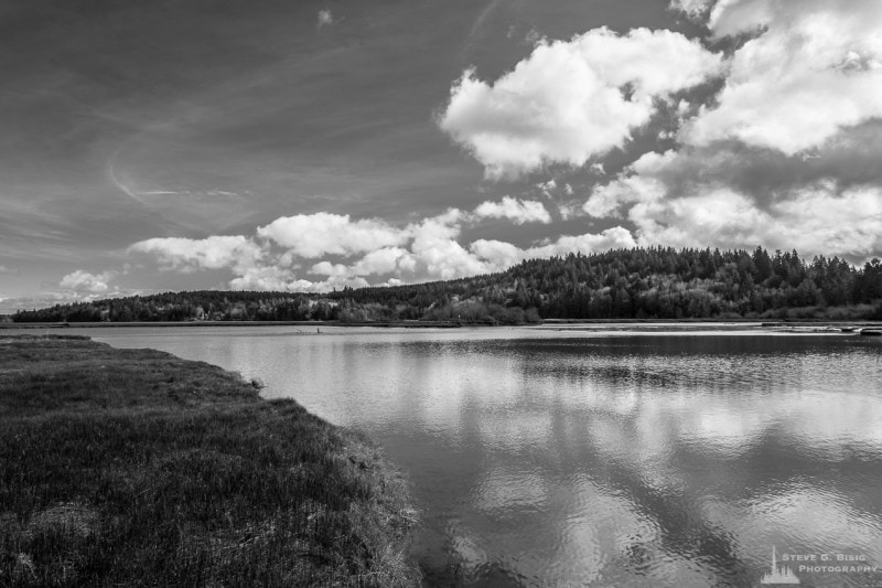 A black and white photograph of Oyster Bay on a sunny Winter day near the Kennedy Creek Natural Area Preserve in rural Thurston County, Washington.