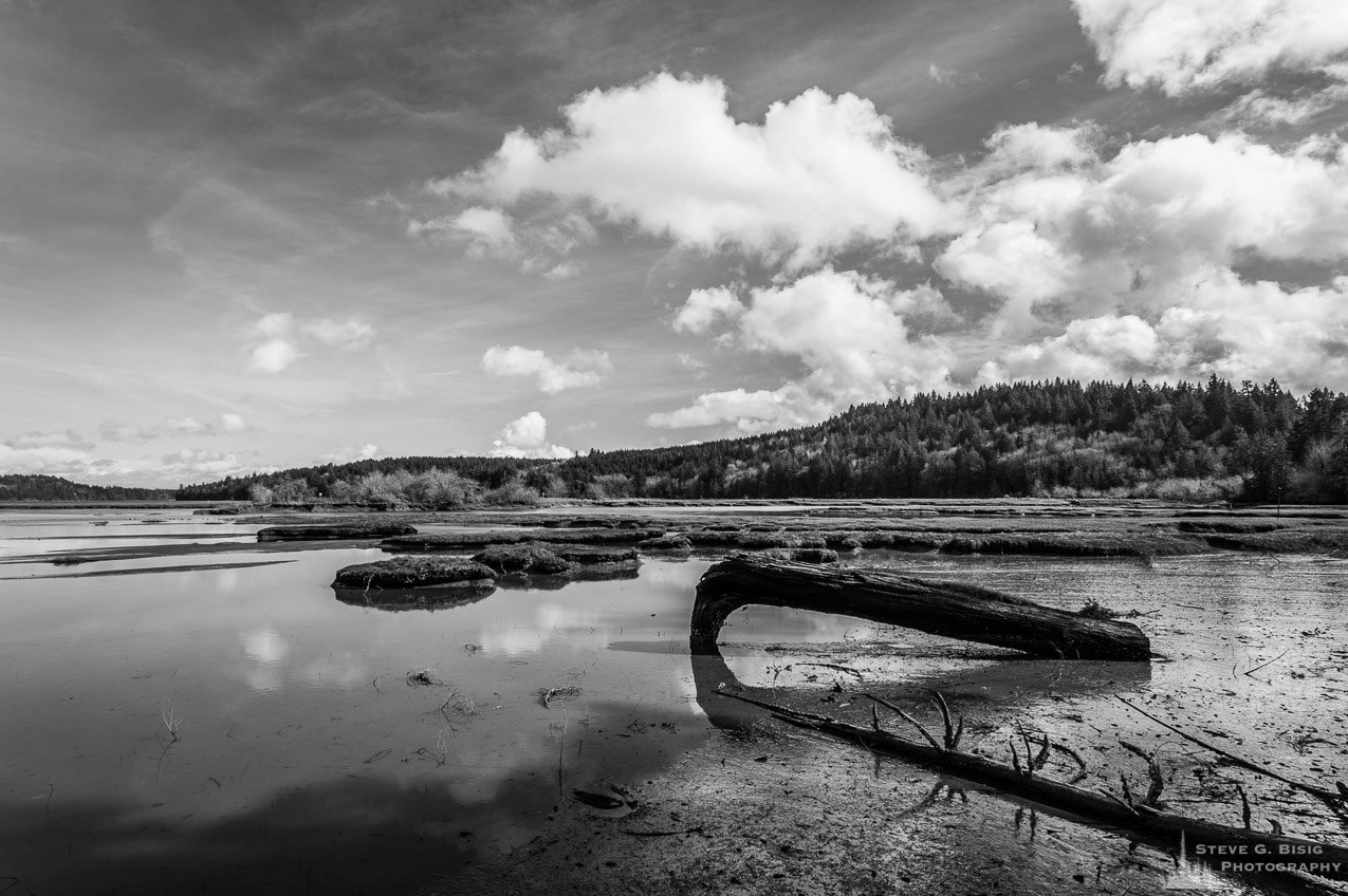 A black and white photograph of Oyster Bay on a sunny Winter day near the Kennedy Creek Natural Area Preserve in rural Thurston County, Washington.