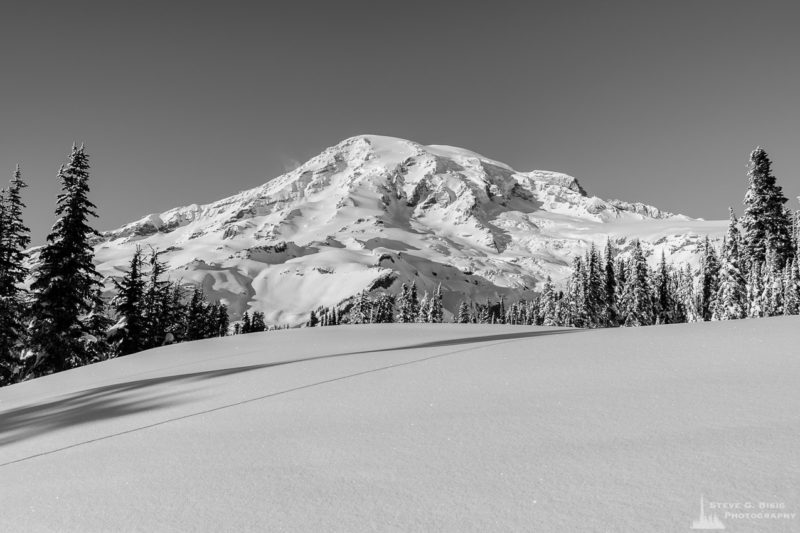 A black and white landscape photograph of Mount Rainier as viewed from the snow-covered mountain meadows, captured on a sunny winter day in the Paradise area of Mount Rainier National Park, Washington.