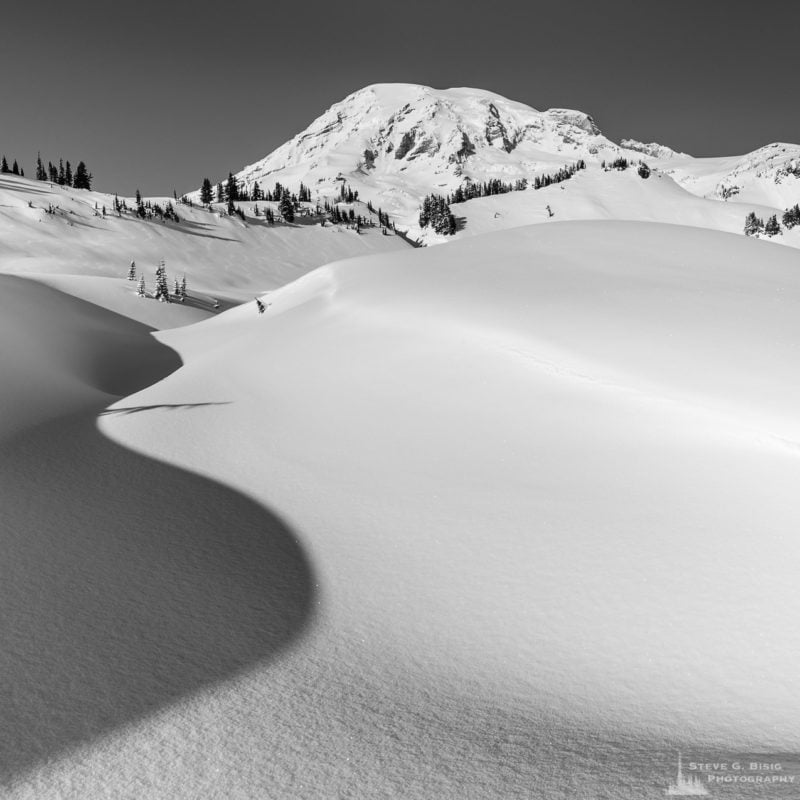 A square black and white landscape photograph of shadows in the snow created by a creekbed meandering upwards towards Mount Rainier. This image was captured on a sunny winter day in the Paradise area of Mount Rainier National Park, Washington.