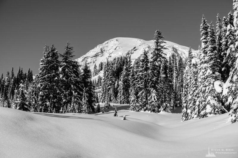 A black and white landscape photograph of Mount Rainier as seen from the snow-covered alpine meadows, captured on a sunny winter day in the Paradise area of Mount Rainier National Park, Washington.