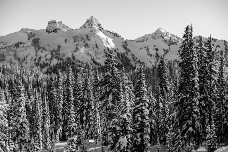 A black and white landscape photograph of the winter forest and a snow-covered Tatoosh Mountain (The Castle, Pinnacle Peak and Plummer Peak) range captured on a sunny winter day in the Paradise area of Mount Rainier National Park, Washington.