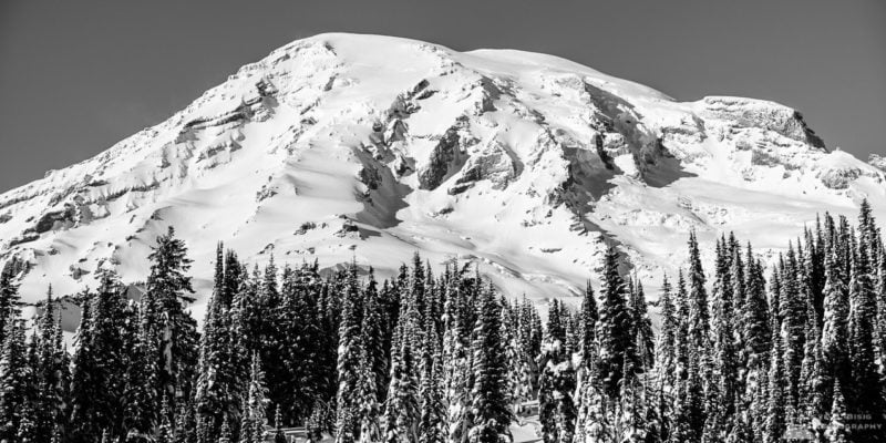 A black and white panoramic landscape photograph of Mount Rainier as seen from treeline, captured on a sunny winter day in the Paradise area of Mount Rainier National Park, Washington.