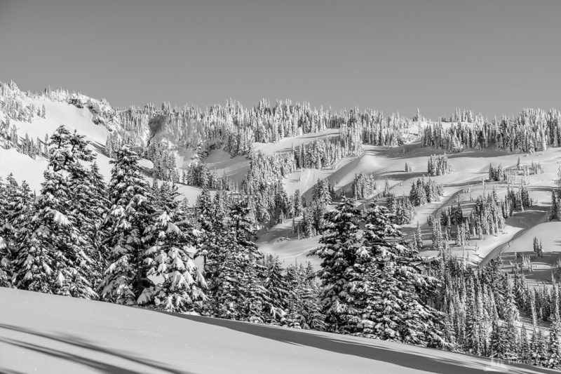 A black and white landscape photograph of the snow-covered upper Paradise River valley captured on a sunny winter day in the Paradise area of Mount Rainier National Park, Washington.