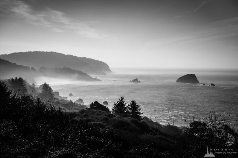 False Klamath Cove, California, 2017