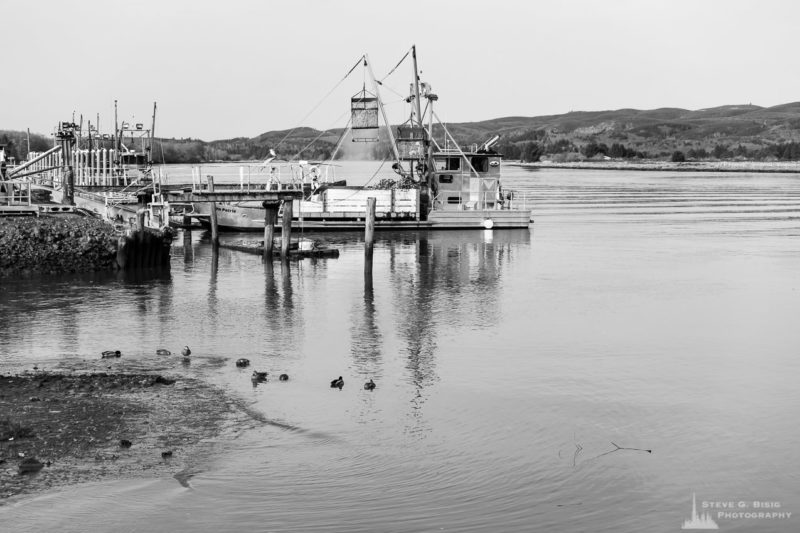 A series of black and white photographs captured along the banks of the Willapa River in downtown South Bend, Washington.