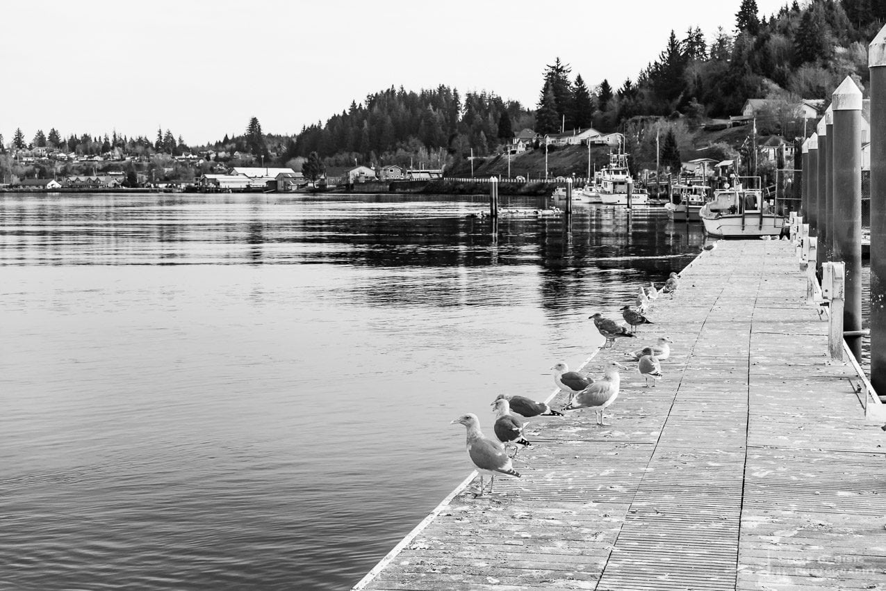 One of a series of black and white photographs captured along the banks of the Willapa River in downtown South Bend, Washington.