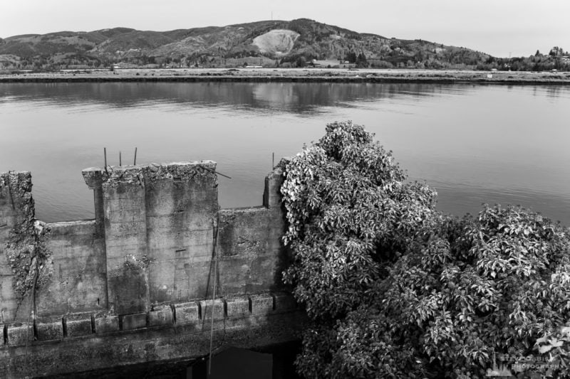 A series of black and white photographs captured along the banks of the Willapa River in downtown South Bend, Washington.