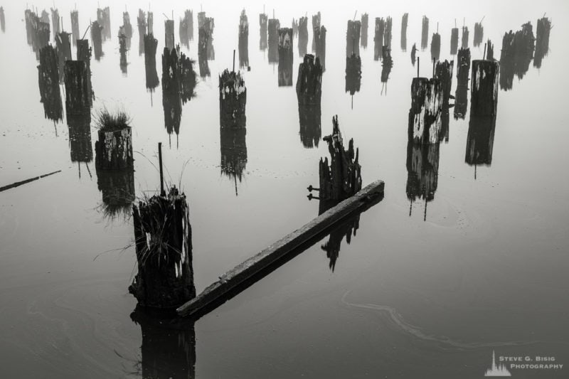 One of a series of black and white photographs of an old wharf along the Willapa River on a foggy autumn morning in Raymond, Washington.