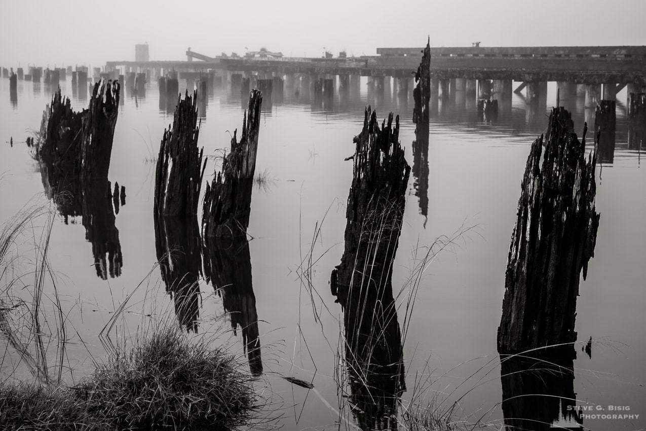 One of a series of black and white photographs of an old wharf along the Willapa River on a foggy autumn morning in Raymond, Washington.