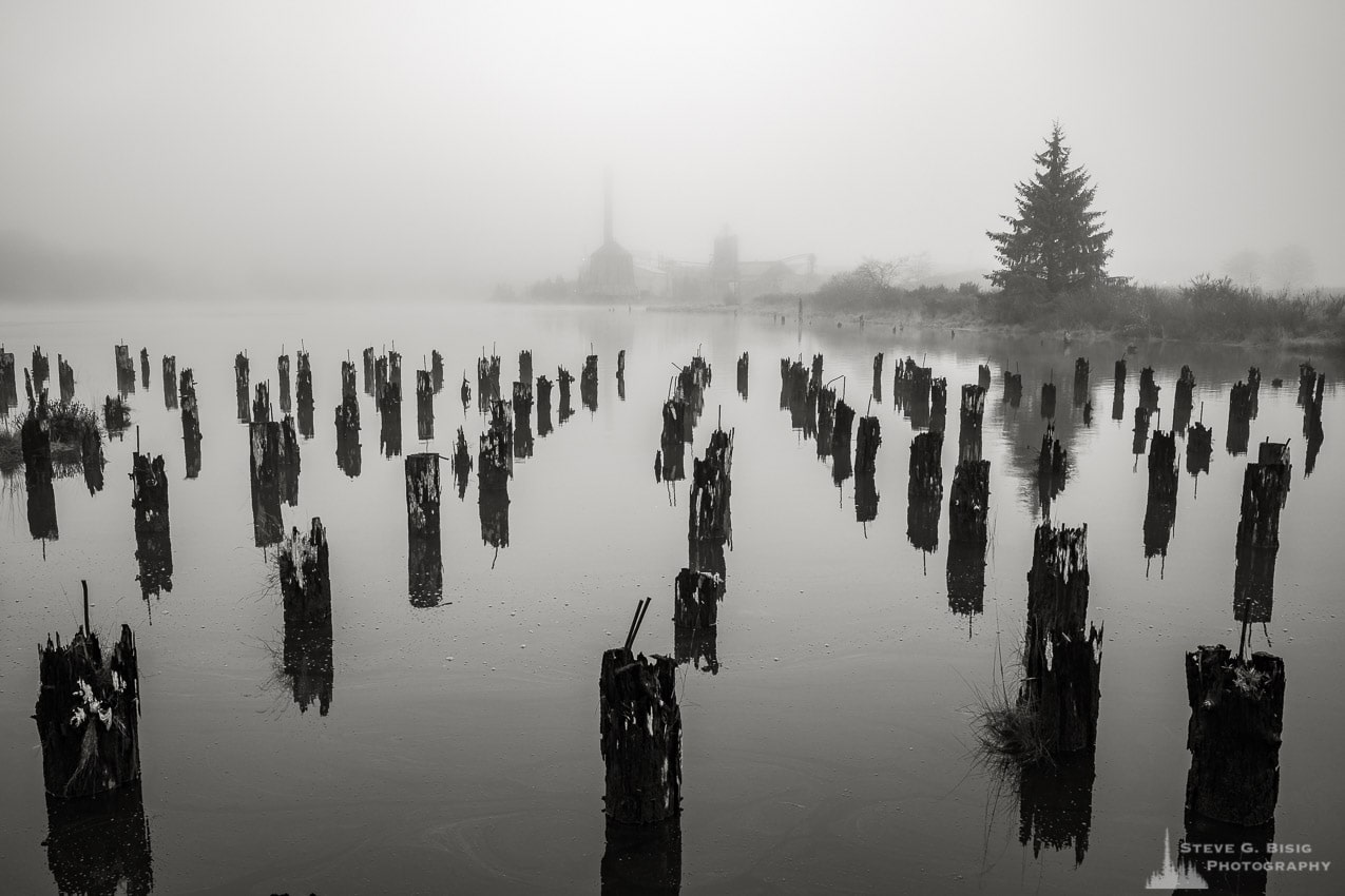 One of a series of black and white photographs of an old wharf along the Willapa River on a foggy autumn morning in Raymond, Washington.