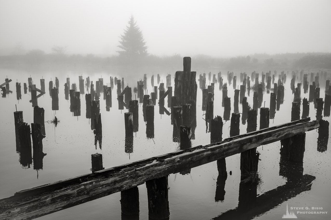 One of a series of black and white photographs of an old wharf along the Willapa River on a foggy autumn morning in Raymond, Washington.