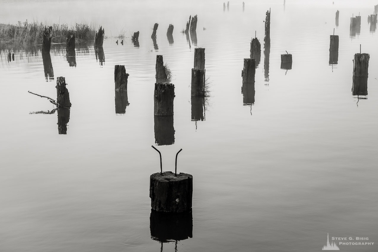 One of a series of black and white photographs of an old wharf along the Willapa River on a foggy autumn morning in Raymond, Washington.