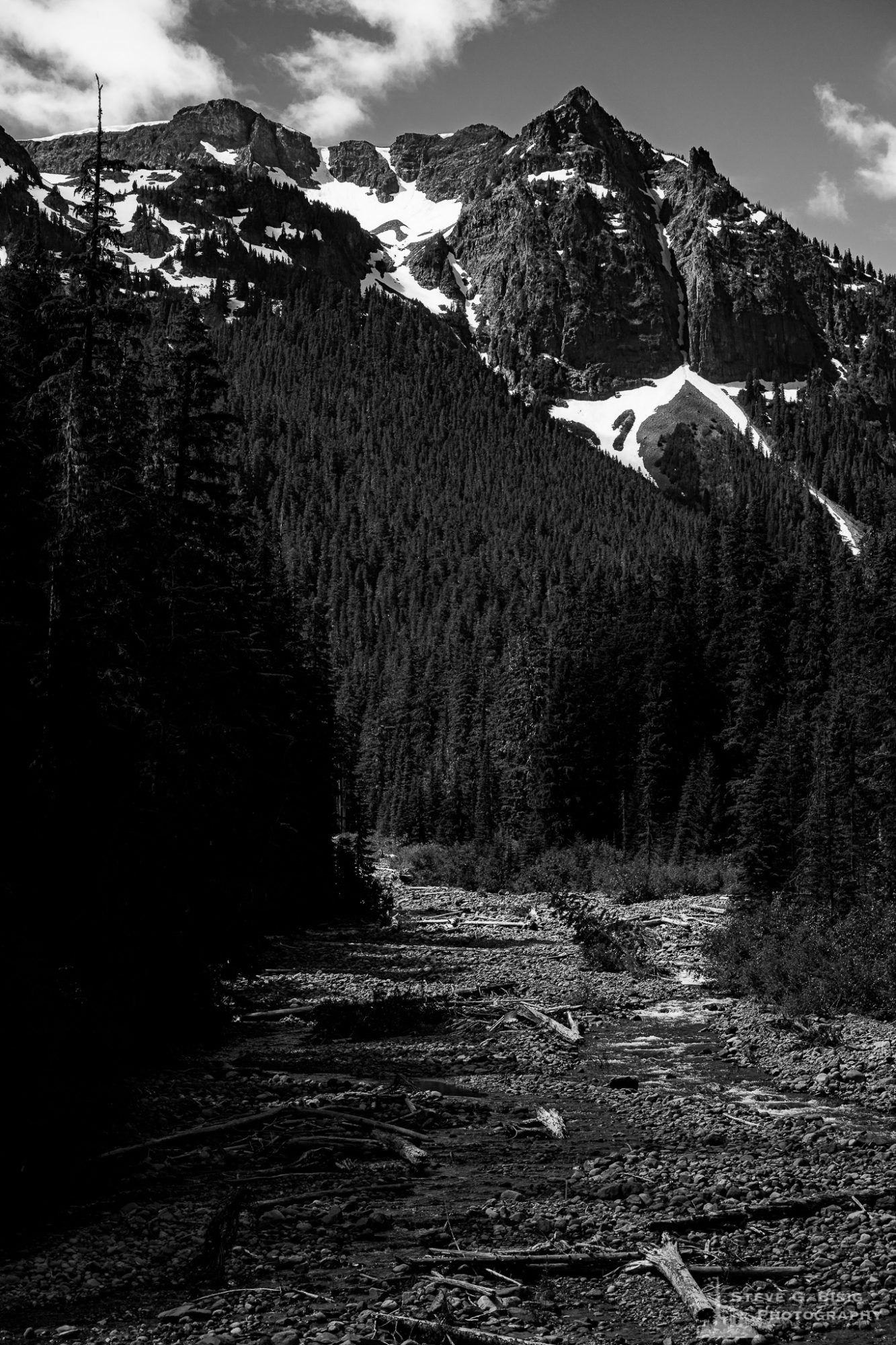 A black and white landscape photograph of Fryingpan Creek and the Cowlitz Chimneys at Mount Rainier National Park, Washington.