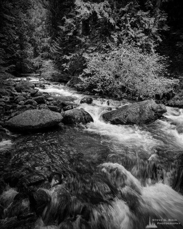 A black and white landscape photograph of a stream found along Forest Road 52 (Skate Creek Road) in the Gifford Pinchot National Forest, Washington.