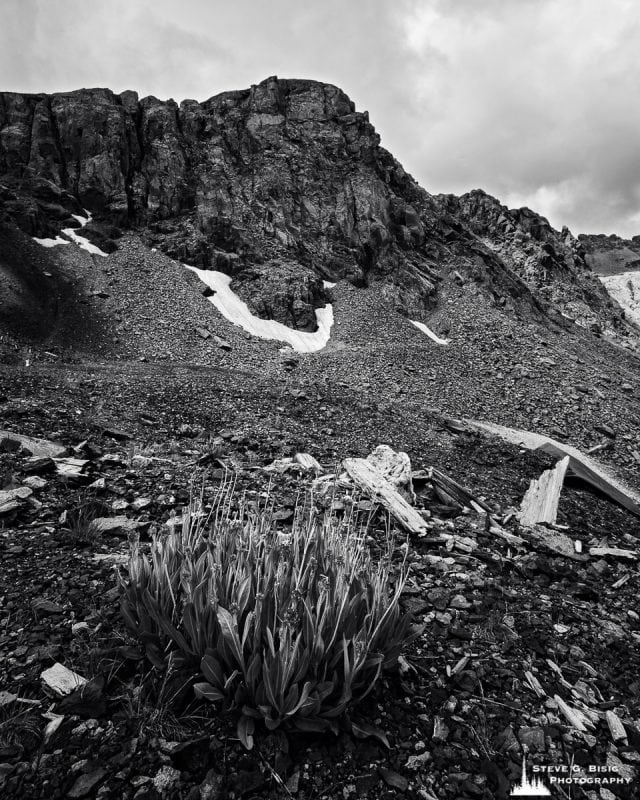 A black and white landscape photograph of the views from the Virginius Mine Road near Ouray, Colorado. X68H+W4 Telluride, Colorado