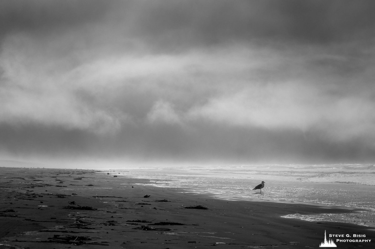 A black and white landscape photograph of dark skies over Del Rey Beach along the Northern Oregon coast.