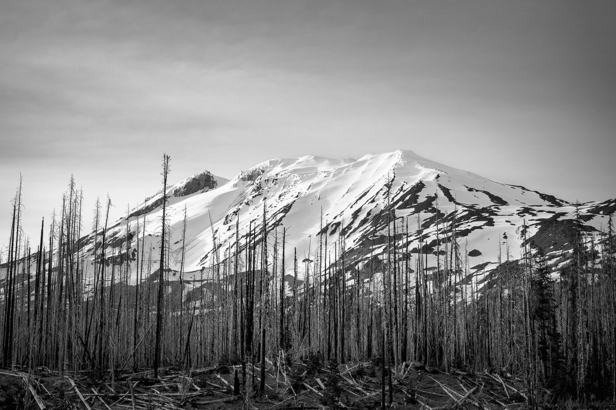 A black and white landscape photograph of the summer evening light shining on Mt. Adams as seen from Harrison Creek, Washington.