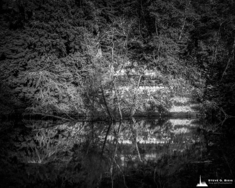 A black and white intimate landscape photograph of the evening light shining on the banks of the Bone River in Pacific County, Washington.