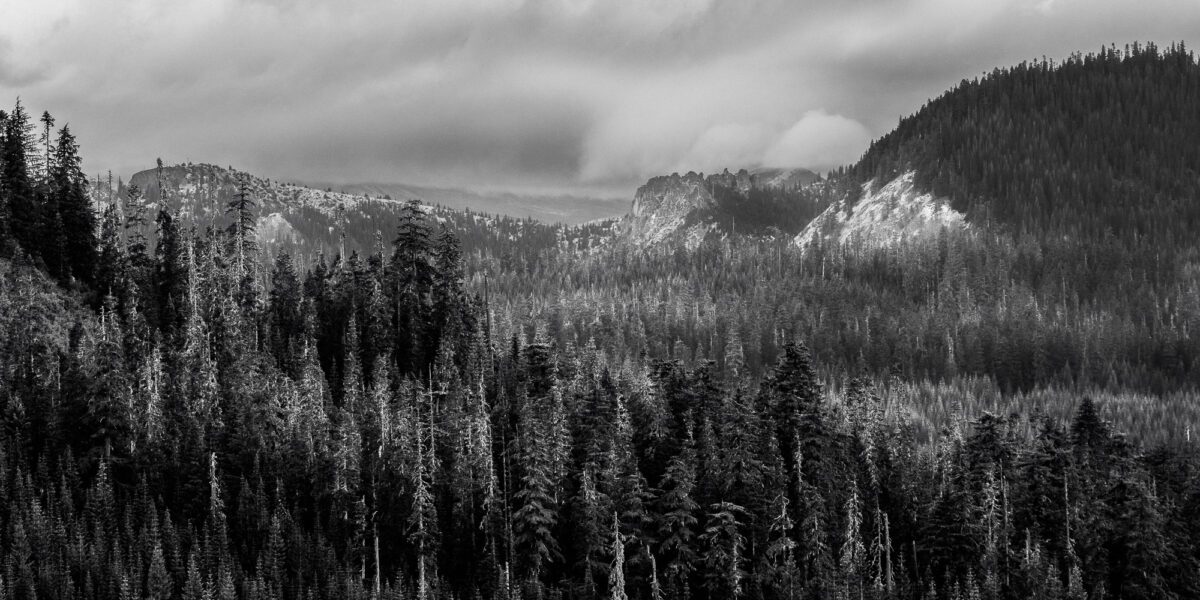 Creek Valley along Gifford Pinchot National Forest FR2551 near Elk Pass in Skamania County, Washington.