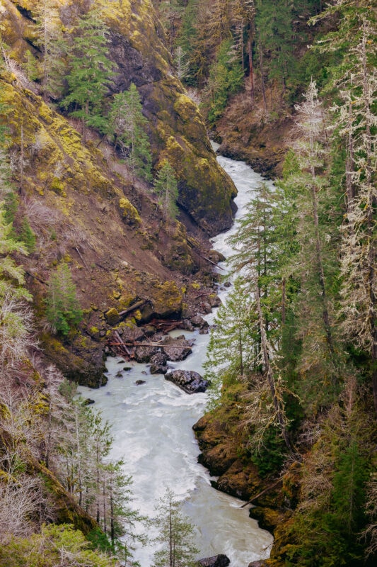 Witness the captivating allure of the South Fork Skokomish River, cascading downstream from the High Steel Bridge. Nestled in the scenic canyon of Olympic National Forest, this vertical landscape unveils the vibrant colors of Washington's winter, where the forest, river, and tranquility merge in perfect harmony.