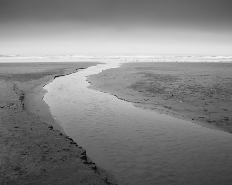 Kalaloch Creek carves a graceful path through the sands of Kalaloch Beach, its waters destined for the vast expanse of the Pacific Ocean. The black and white tones capture a timeless, serene atmosphere where nature’s elements converge on Washington’s scenic Olympic Peninsula. Every wave and grain of sand tells a story of the eternal dance between land and sea.