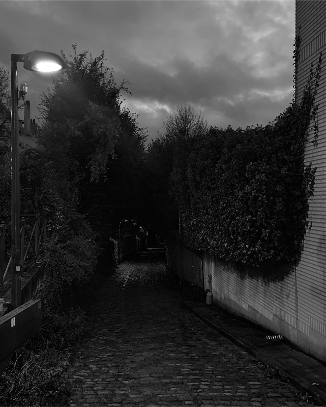 Darkness Along a Cobblestone Path