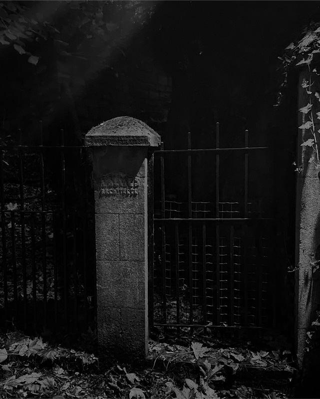 Darkness Along a Cobblestone Path