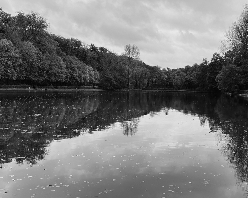 Parc du Rouge Cloitre, Brussels, Belgium