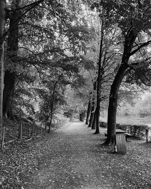 Parc du Rouge Cloitre, Brussels, Belgium